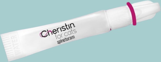 Cheristin Features