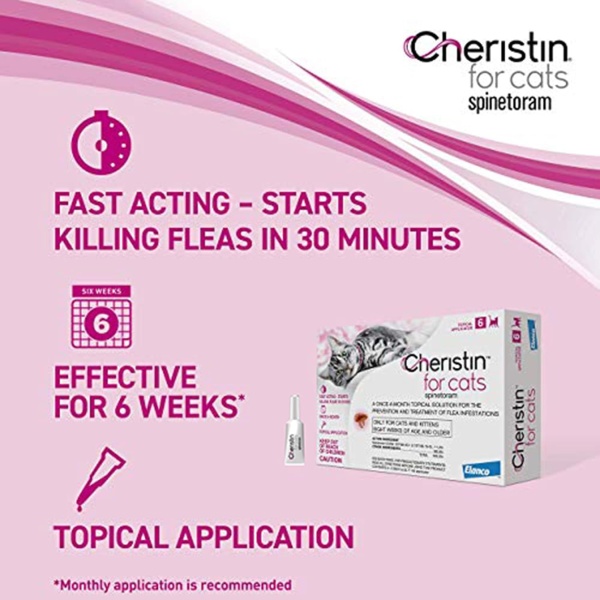 Cheristin photo 2