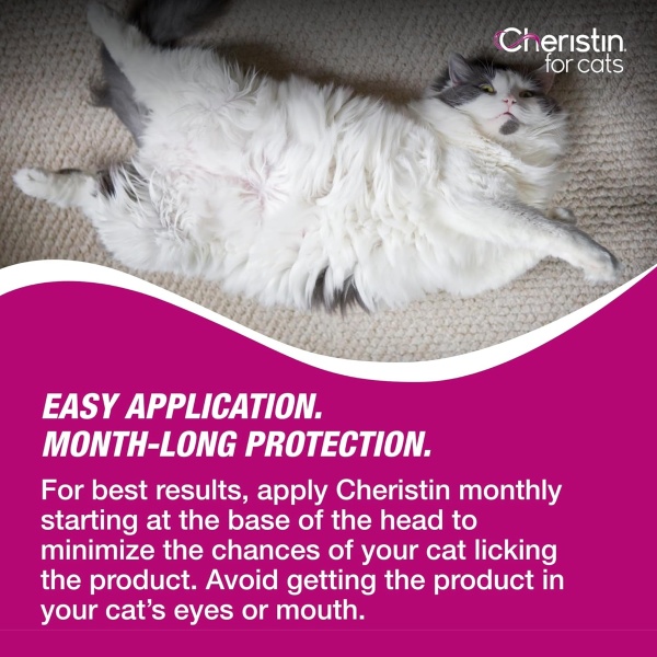 Cheristin photo 8
